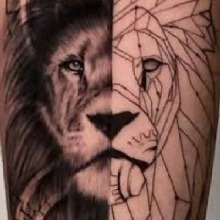 Guest_Diego18220
