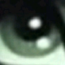 Guest_Lu269008