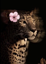 Guest_justwannahavefun1