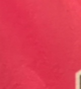 Guest_Amariah784387