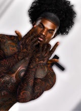 Guest_Dee1777