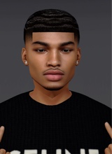 Guest_Darius367945
