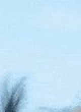 Guest_jdksfhkdsiuereuser1269