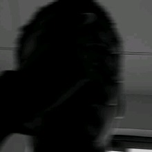 Guest_RsheedFilipe