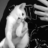 Guest_Xxxane69