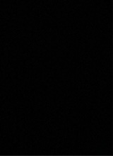 Guest_ashton714445