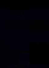 Guest_BrokenCondom