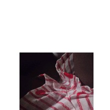 Guest_AniyahAdams1
