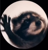 avatar resmi