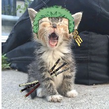 Guest_Bilubiludaisso
