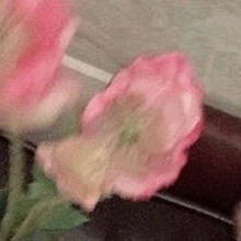 Guest_lena21345