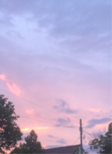 Guest_Ash480325