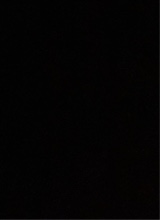 Guest_vacko