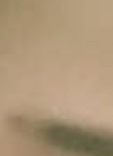 Guest_cam153765