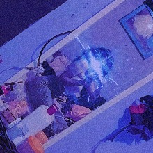 Guest_VALERIADDOT