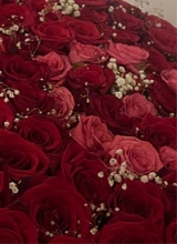 Guest_yerelyn6