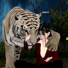 Guest_Adora37