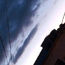 Guest_Nicolli2344