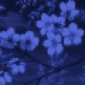 Guest_Jason1076