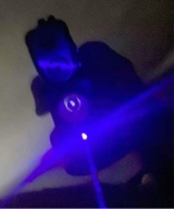 Guest_jayda567771