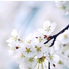 Guest_Melisa652879