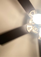 Guest_cam944611