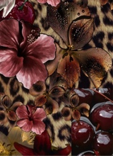 Guest_Karla873