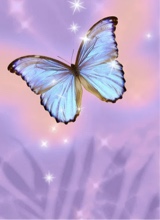 Guest_zay656880