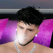 Guest_dreymertens2