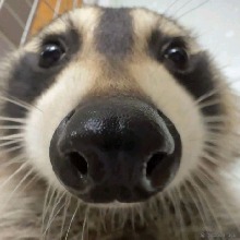 Guest_RannyWtz