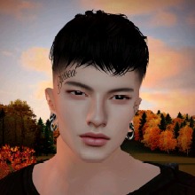 avatar-billede