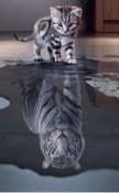 Guest_NOOBIE10001