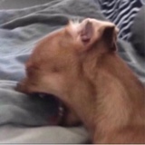Guest_bigbootyho1