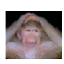 pizv