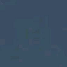 Guest_Gabi237491