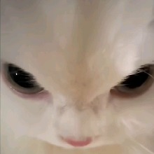 MothyMommy