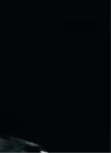 Guest_BigBlackStud