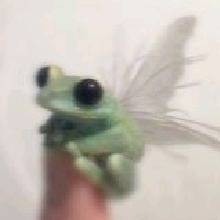 Guest_BiaUWU3
