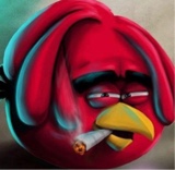 Guest_Jbdgaf2