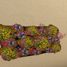 Guest_Bissin