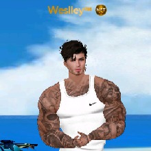 Guest_Weslley263580