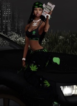 avpic