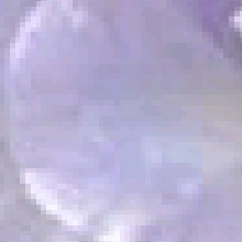 Guest_isa11594