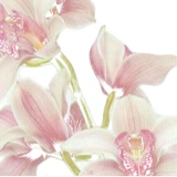 Guest_thatsenough1