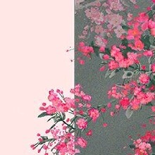 Guest_vanillatearoseff2f