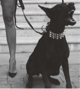 Guest_lola818785