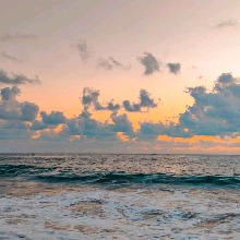 Guest_EmiliGutierrezLara22