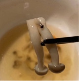 Guest_pickledtoes