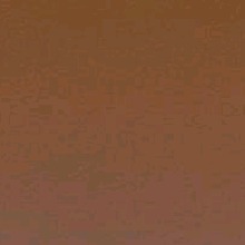 Guest_Wspxx3