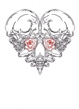 Guest_rosegirl6971